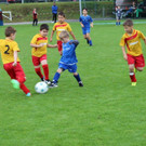 IMG_3229.jpg