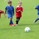 IMG_3244.jpg