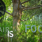 EXPO: Frischer Wind  für Mailand