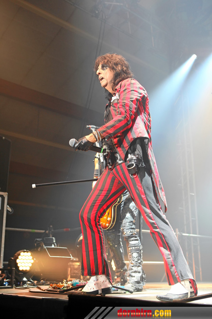 14067041.jpg