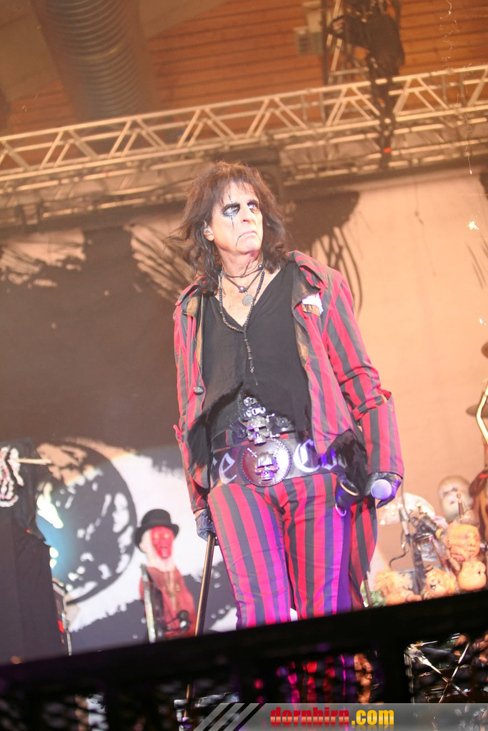 14067016.jpg