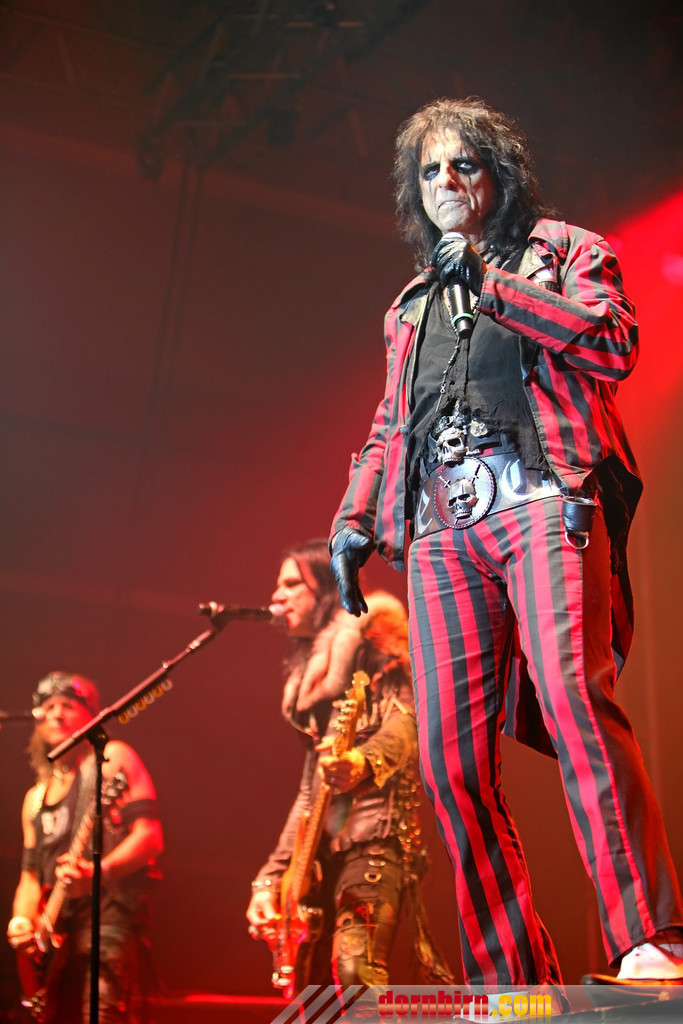 14066959.jpg