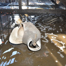 23062015_MA_68_Lichtbildstelle _3_.jpg