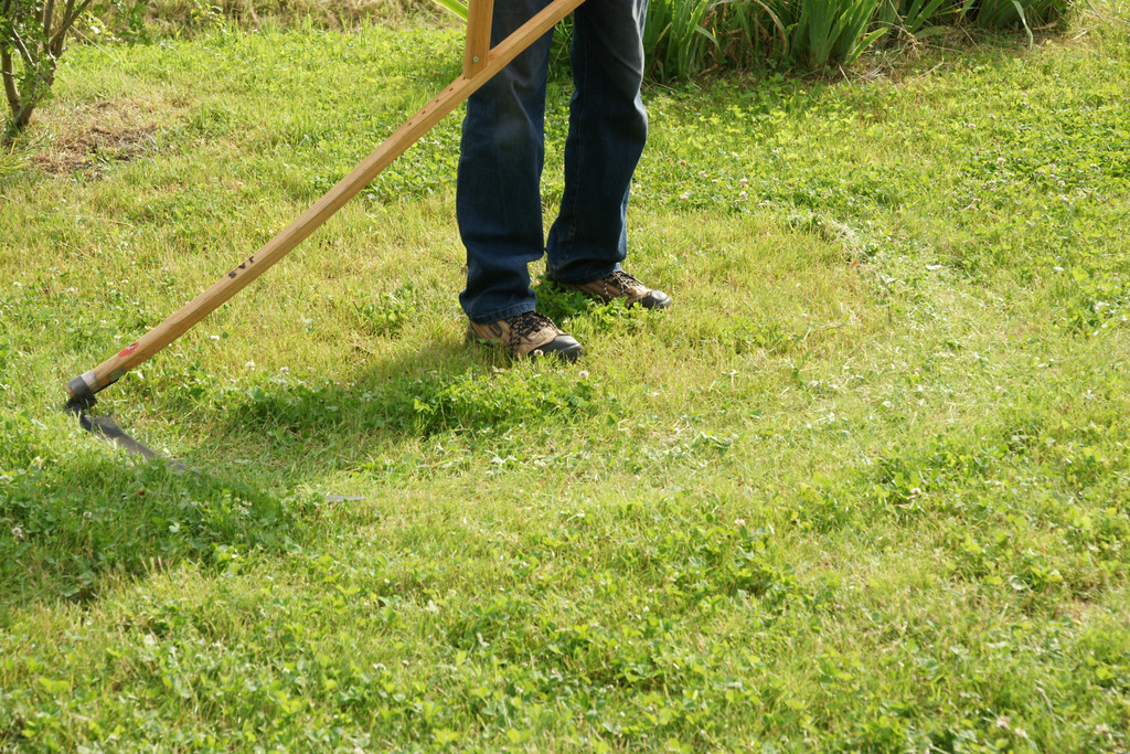 DSC02151.JPG