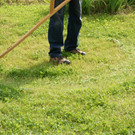 DSC02151.JPG