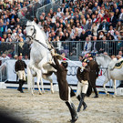 Jubiläumsvorführung der Spanischen Hofreitschule 2015: Heldenplatz