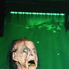 IMG_8510.jpg