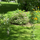 Bilder vom eigenen Garten