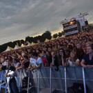 The-Common-Linnets-DIF2015-Raimund-Appel-10.jpg