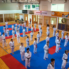 Schlinser Kyorugi-Tag 2015