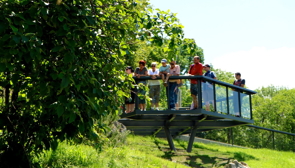 KOE_Wildpark Fruehschoppen 21.jpg