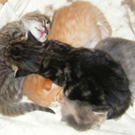 20100521_1.JPG