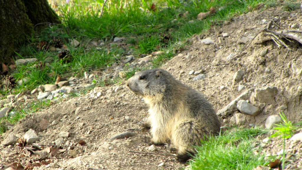 KOE_Wildpark Fruehschoppen 29.jpg