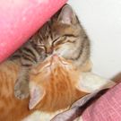 20100521_122.JPG