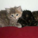 20100521_123.JPG