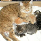 20100521_35s.jpg