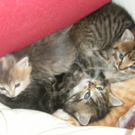 20100521_69s.jpg