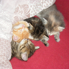 20100521_79s.jpg