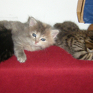20100521_86s.jpg