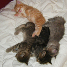 20100521_97s.jpg