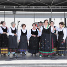 Fest der Kulturen1