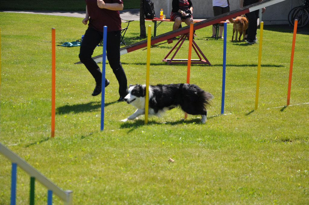 DSC_0161.JPG
