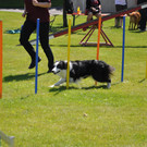 DSC_0161.JPG
