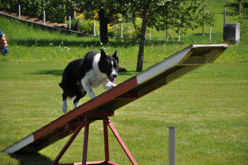 DSC_0168.JPG