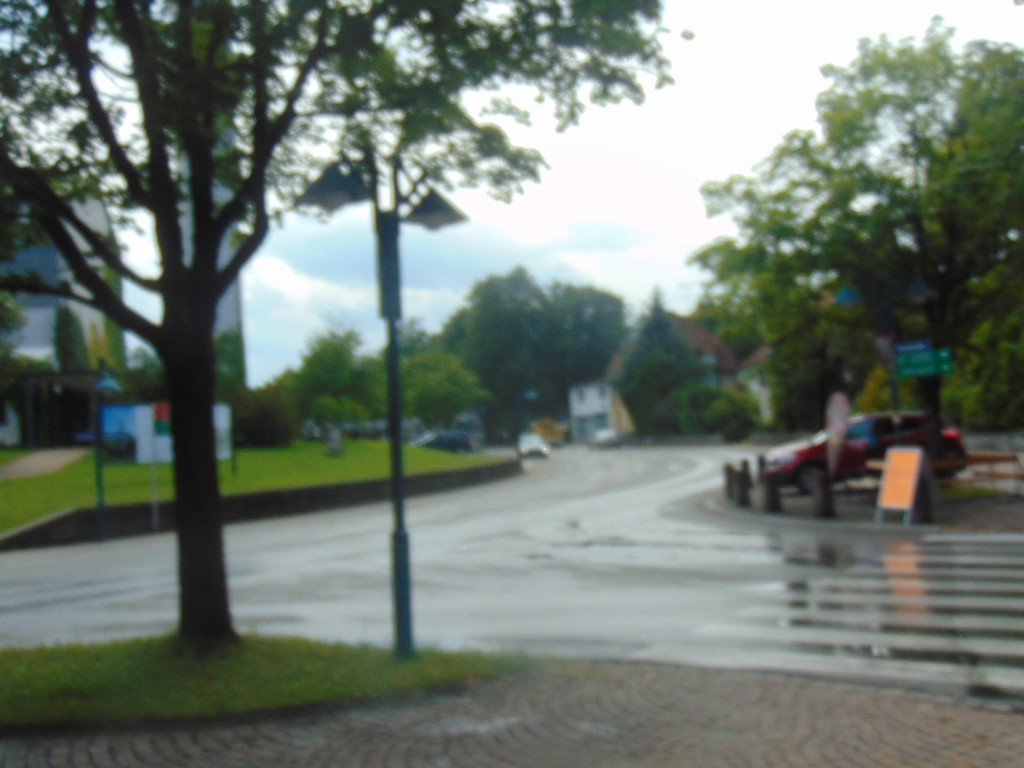 DSC00526.JPG
