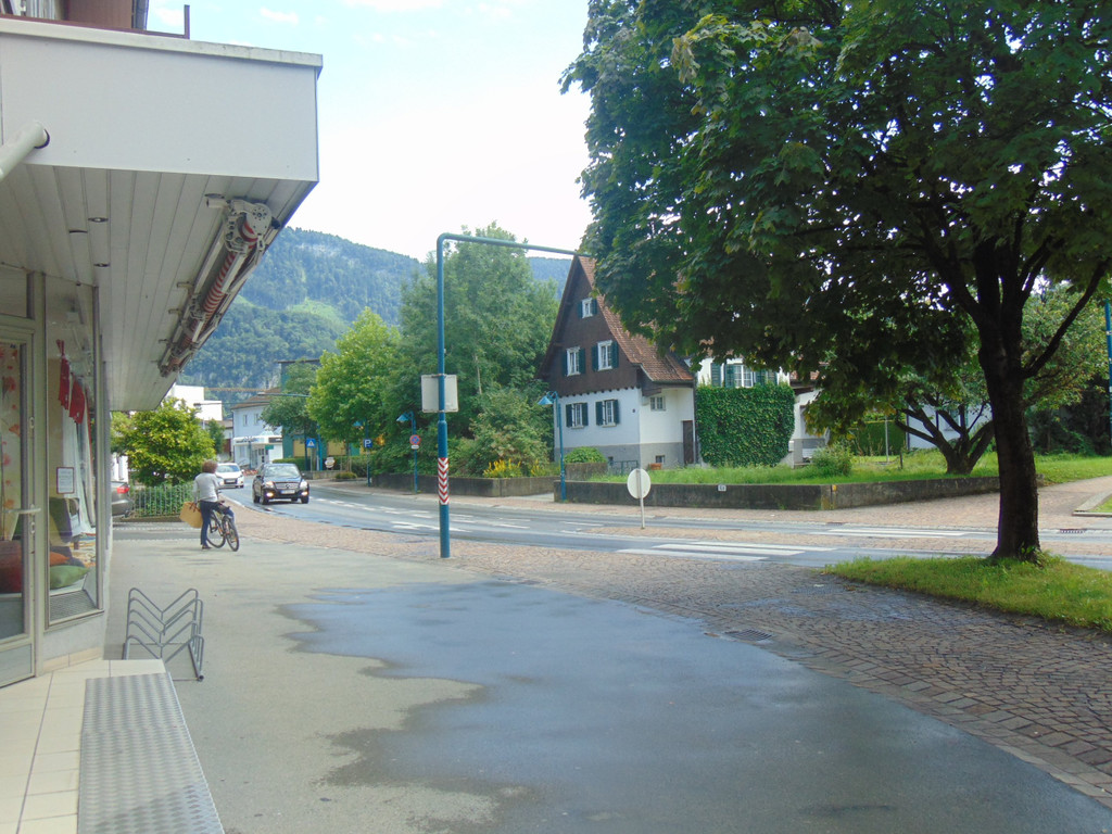 DSC00529.JPG