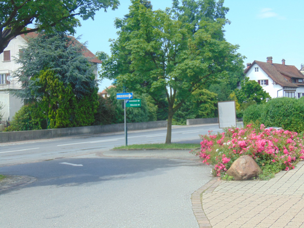 DSC00537.JPG