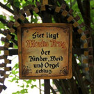 IMG_7813A.jpg