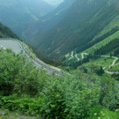IMG_8130A.jpg