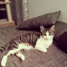 Fotos von Phoebe