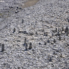 DSC_0185.JPG