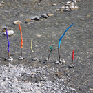 DSC_0213.JPG