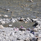 DSC_0217.JPG