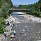 DSC_0250.JPG