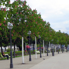 101_2526_jpg-1274911027