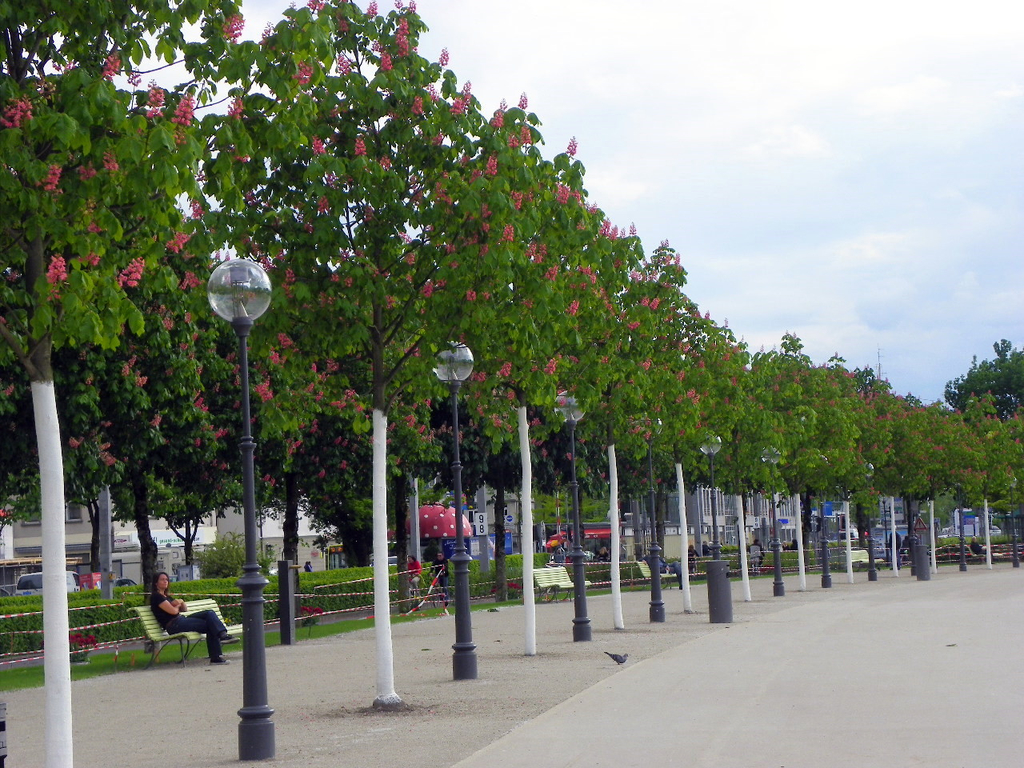 101_2526_jpg-1274911027