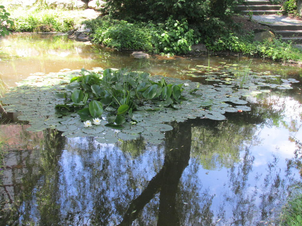 IMG_1704.JPG