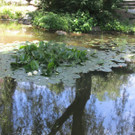 IMG_1704.JPG