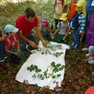 juni wald 106.JPG