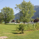 IMG_1131.JPG