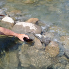 flasche im wasser02.jpg