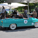 DSC_0233.JPG