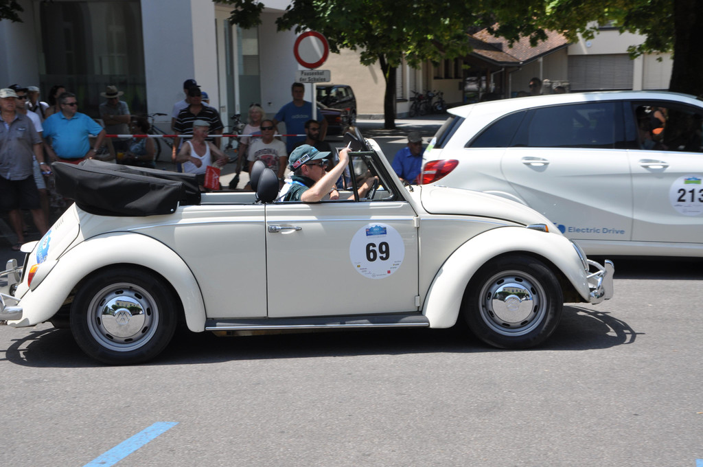 DSC_0242.JPG
