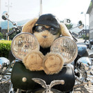 Biker Ho__chst 04-07-2015 261.jpg