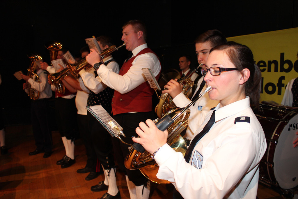 Hofsteiger Musikvereinigung 6.jpg