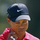 tiger.jpg